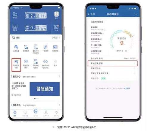 12123电子驾驶证app v3.4.8安卓版