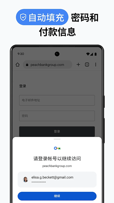 Chrome Canary最新版 v134.0.6968.0官方版