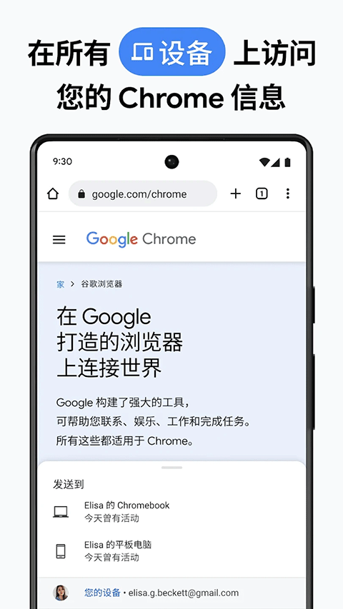 Chrome Canary最新版 v134.0.6968.0官方版