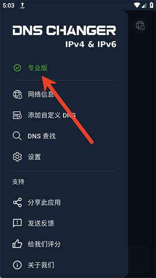 DNS Changer v2.8.2安卓版