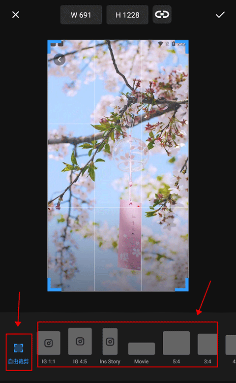 专业照片编辑器app(Polish) v1.71.244安卓版