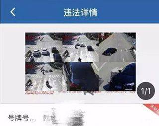 交警12123app v3.3.7 安卓版 交警12123app v3.3.7 安卓版