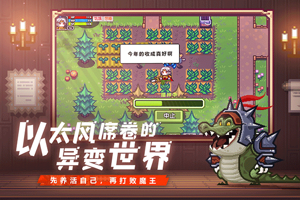 伊洛纳精英服 v1.1.26