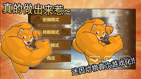 动物之斗官方正版 v1.0.11安卓版