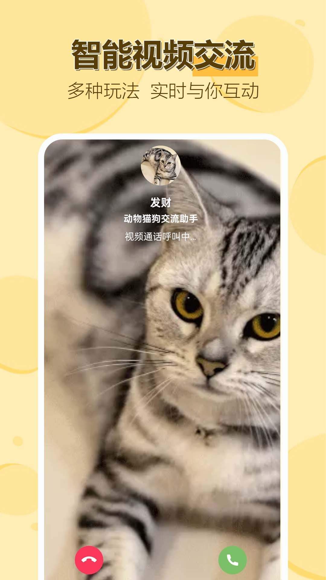 动物猫狗交流助手app v1.0.0.10 安卓版