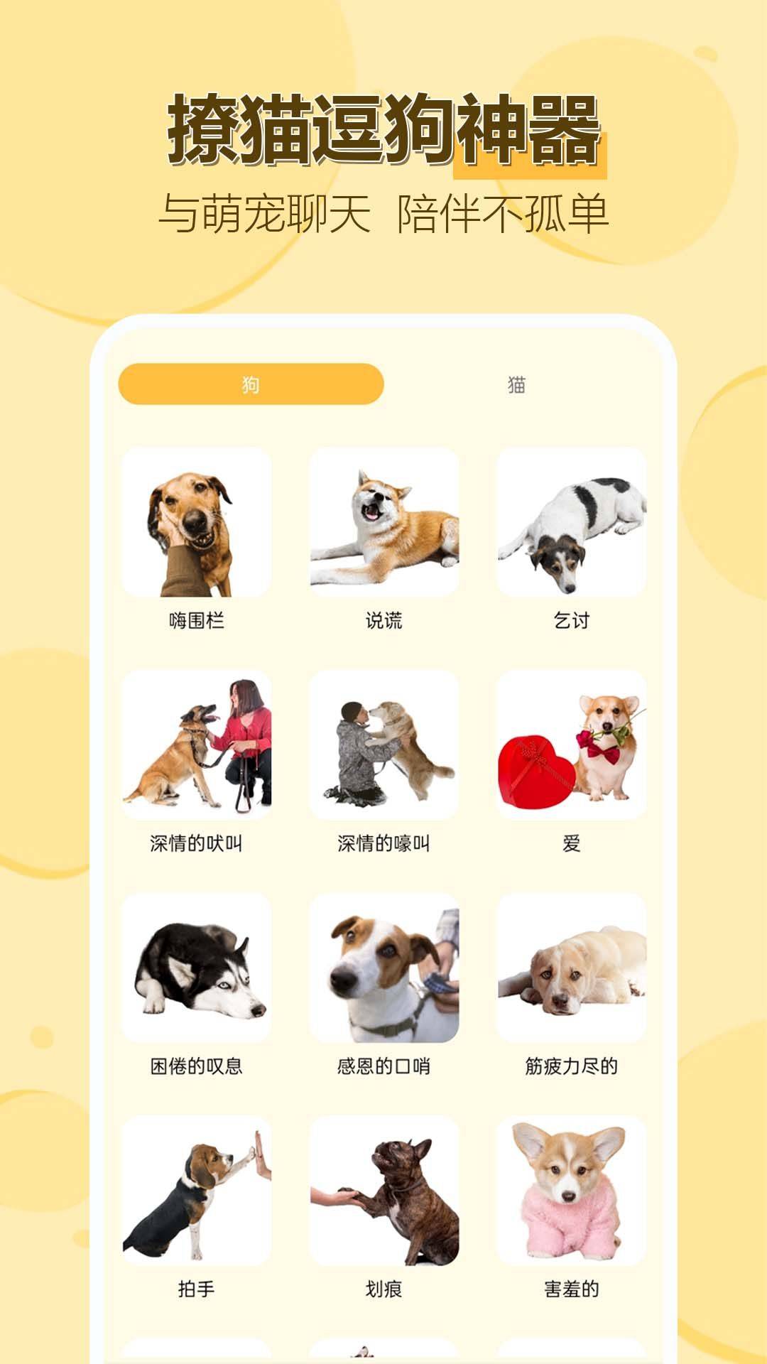 动物猫狗交流助手app v1.0.0.10 安卓版