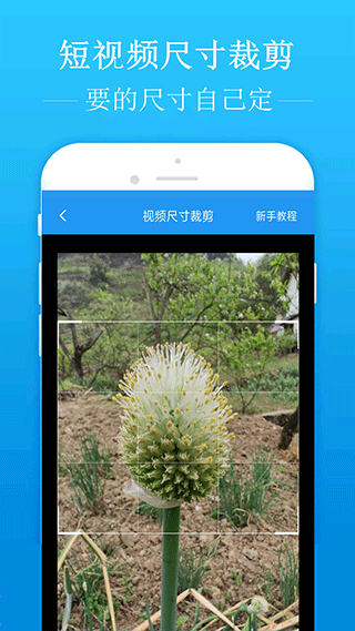 去水印吧手机版 v2.1.9安卓版