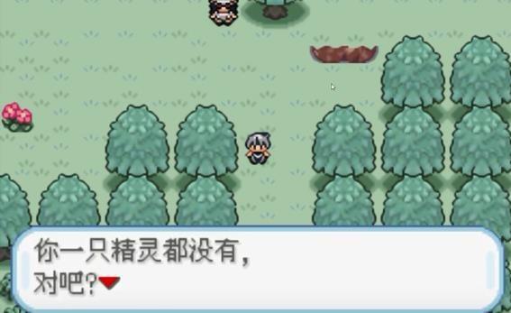口袋妖怪火箭队汉化版v沫白 最新版 口袋妖怪火箭队汉化版v沫白 最新版