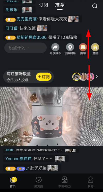 哈啰街猫app 4.1.0安卓版