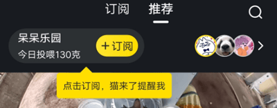 哈啰街猫app 4.1.0安卓版