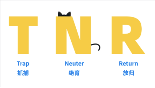 哈啰街猫app 4.1.0安卓版