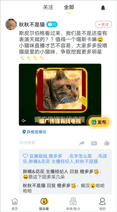 哈啰街猫app v3.5.5安卓版