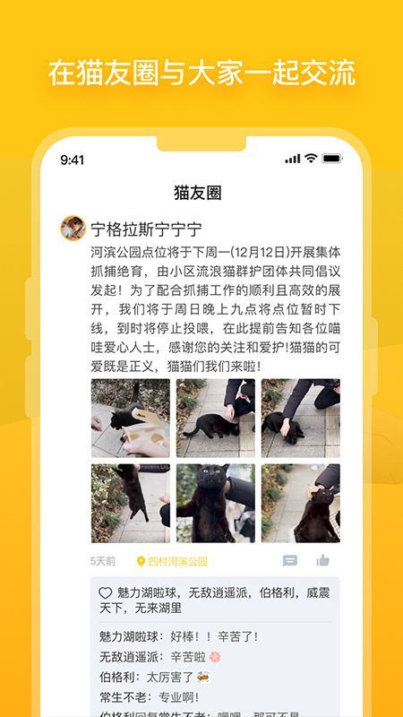 哈啰街猫app v3.5.5安卓版