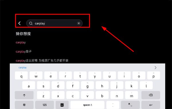 哔哩哔哩车机版 v2.10.2安卓版