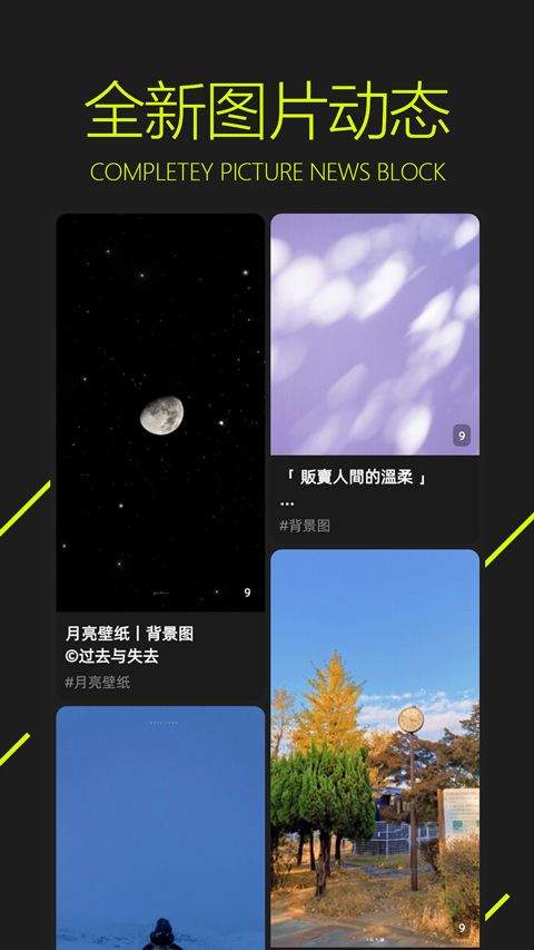 图凌壁纸app官方版 v5.0.3.8安卓版