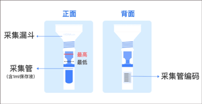 基因宝app v7.4.8安卓版