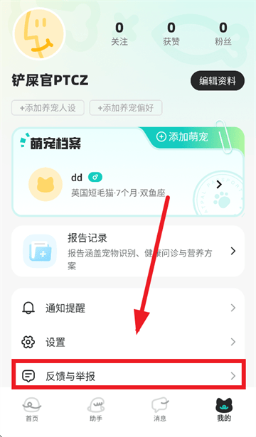 宠拍档app 宠拍档app