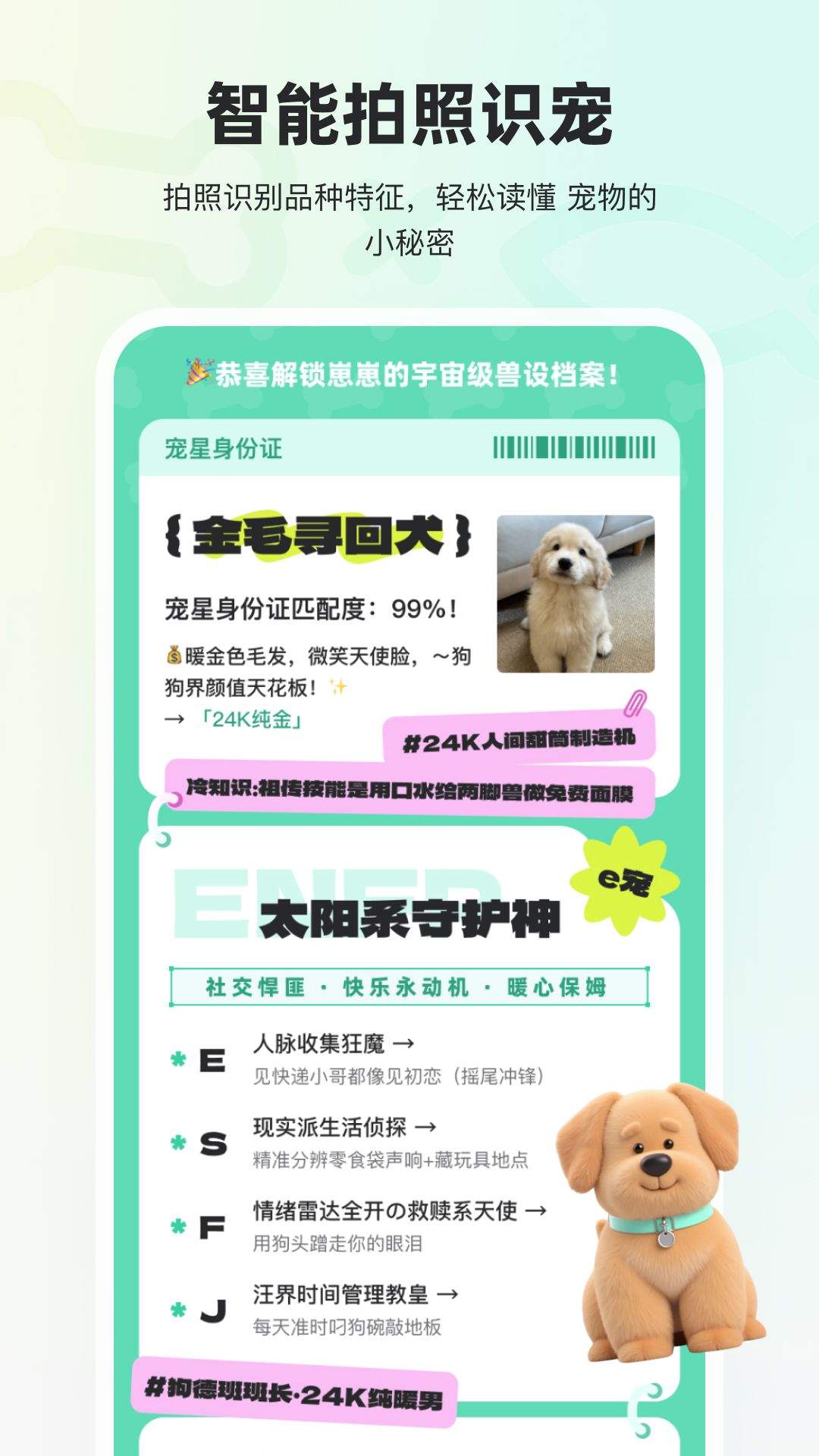 宠拍档app v1.4.1 安卓版