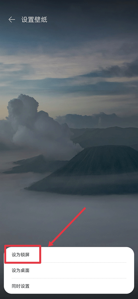 小米Wallpaper手机版(7Fon Xiaomi) v6.0.81安卓版