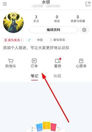 小红书国际版 v9.21.0安卓版