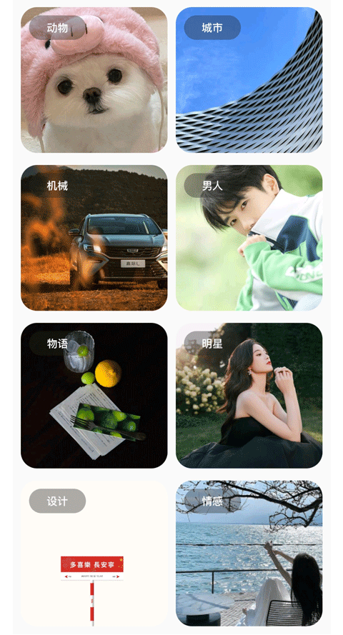 彩虹猫pro 2026最新版 v1.7.31安卓版
