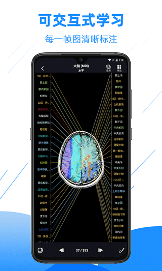 影像解剖图谱app v4.5.8安卓版