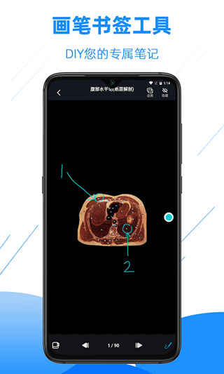 影像解剖图谱app v4.5.8安卓版