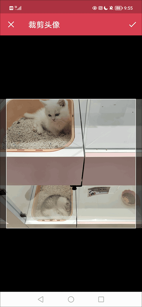 微兔gogo手机客户端 v11.0.10安卓版