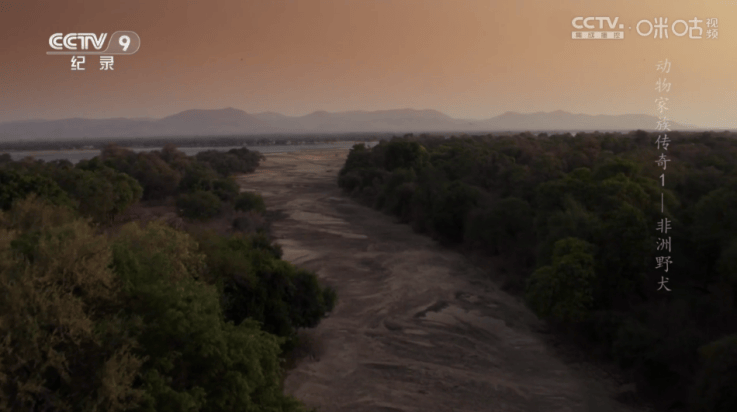 悠悠电视tv版 v1.0.3 最新版