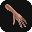 手势模拟软件(Hand Draw 3D FREE) v3.1 官方版