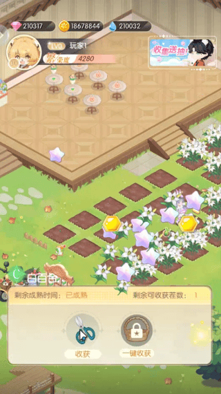明星花店游戏 明星花店游戏