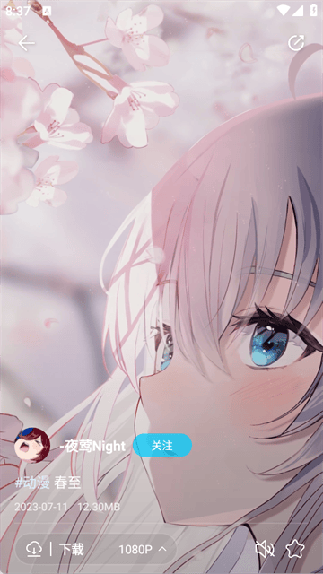 星咩视频壁纸app 星咩视频壁纸app