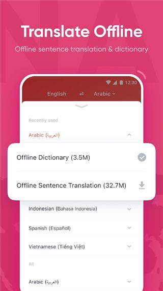 有道词典国际版 v6.7.3安卓版