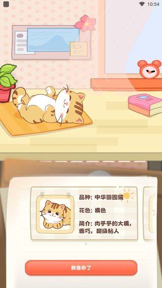 桌面喵最新版 v2.0.5安卓版