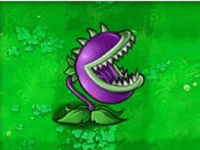 植物大战僵尸北美版中文版 v6.1.11安卓版