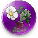 植物大战僵尸联想乐pad中英文高清版 v1.0.0安卓版