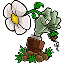 植物大战僵尸e版支线手机版 安卓版