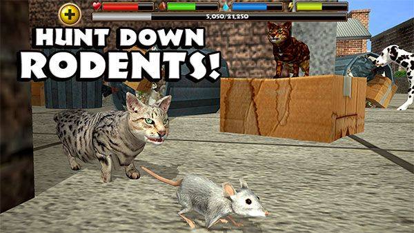 流浪猫模拟器手机版(StrayCatSim) v1.0.4官方版