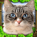 流浪猫模拟器手机版(StrayCatSim) v1.0.4官方版