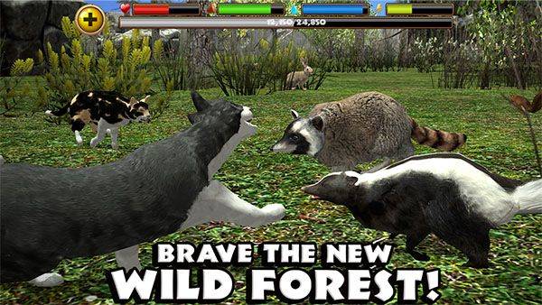 流浪猫模拟器手机版(StrayCatSim) v1.0.4官方版
