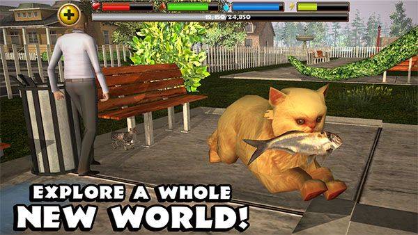 流浪猫模拟器手机版(StrayCatSim) v1.0.4官方版