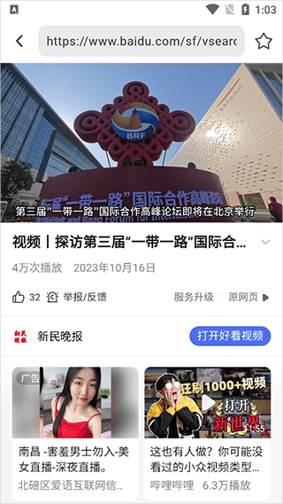 熊猫浏览器app v1.0.8安卓版