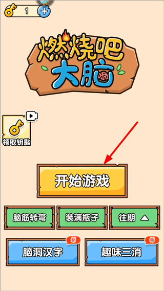燃烧吧大脑游戏 v1.0.0.0安卓版