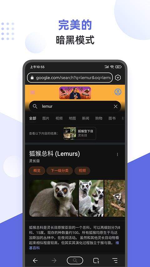 狐猴浏览器app 2.7.3.021安卓版