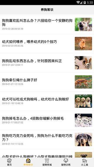 狗语翻译器中文版 v1.4.8安卓版