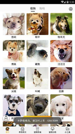 狗语翻译器中文版 v1.4.8安卓版