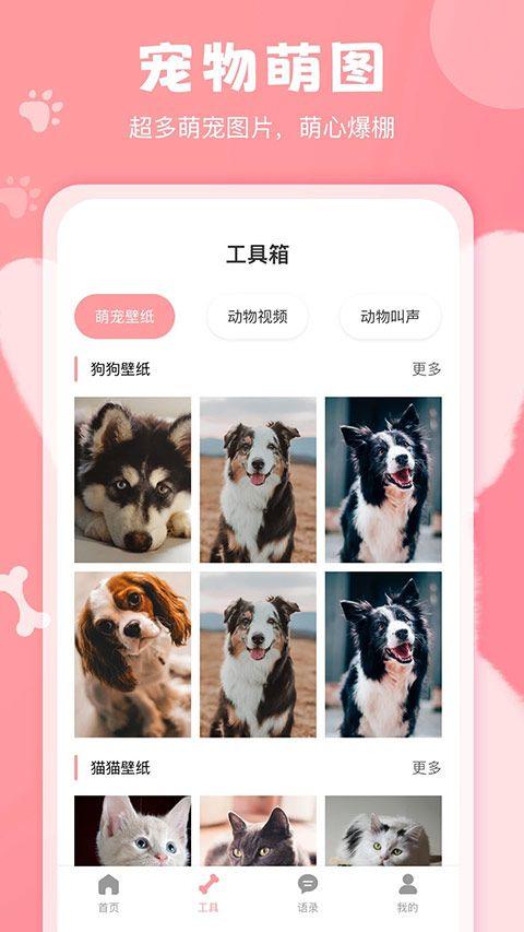 狗语翻译器免费版 v3.1安卓版