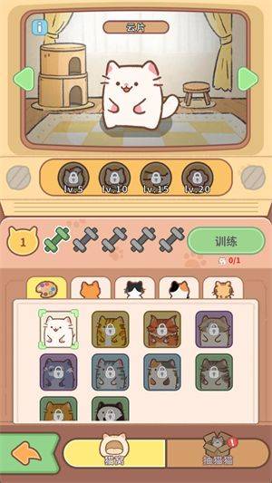 猫咖合趣游戏 v1.0 最新版 猫咖合趣游戏 v1.0 最新版