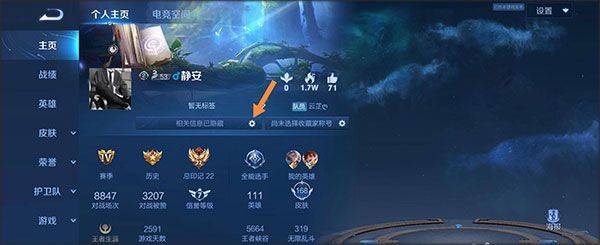 王者荣耀海外版 v11.3.1.11安卓版