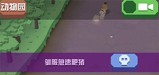 疯狂动物园九游版 v4.18.0安卓版